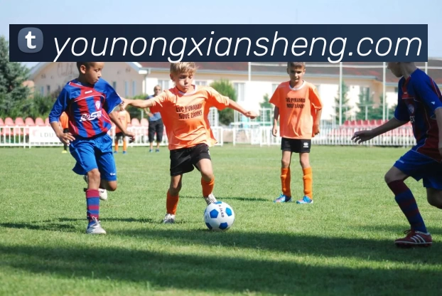 九游体育服务体系